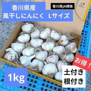 Lサイズ・1kg|農家直送・風干しにんにく(土付き・半乾燥・香川県産)