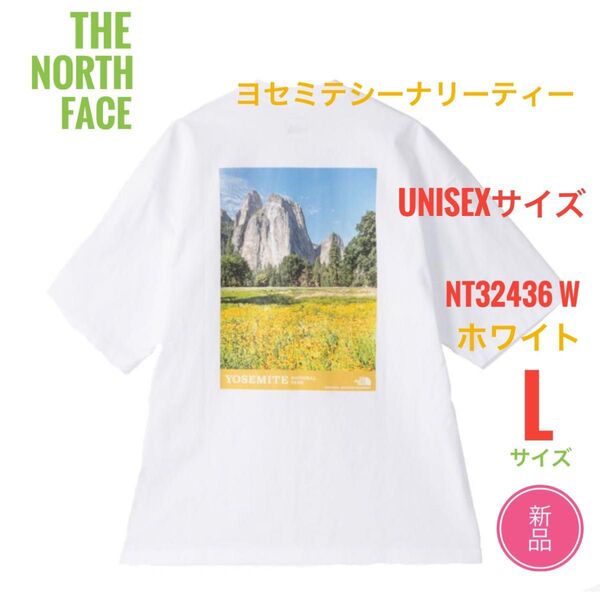 新品☆ノースフェイス ヨセミテシーナリー Tシャツ メンズ L ホワイト