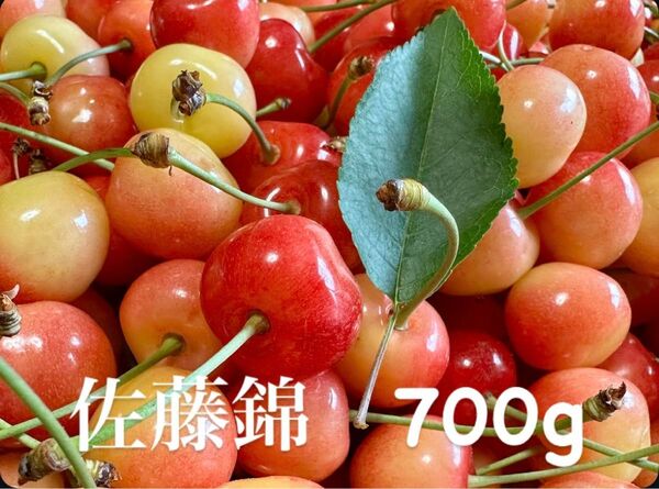 【タイムセール限定価格】早朝もぎたて! 山形県東根産 さくらんぼ佐藤錦 700g