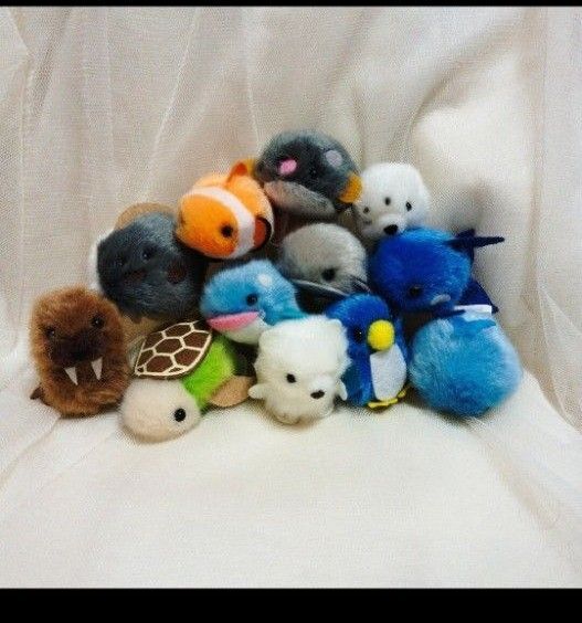 小さな海の生き物たちふわふわマスコットぬいぐるみ12点set