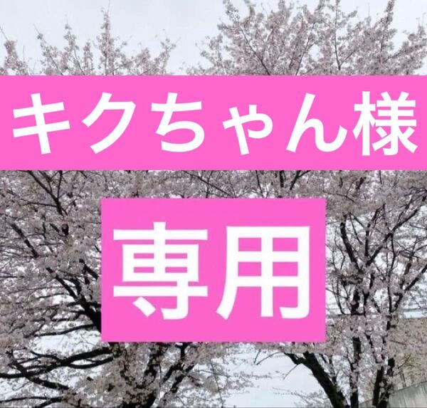 国産無農薬高級びわ苗 抜き苗1株 (虫食い葉焼け有り)+ ざくろ苗 4cmポット入り1株2年目