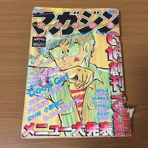 週刊少年マガジン ヤング別冊 初夏号 1980年（昭和55年）6月5日発行 柴門ふみ 柳沢きみお ほか