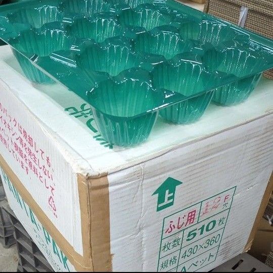 PANTA-PAK りんごパック パンタパック 12穴 510枚 りんご梱包資材