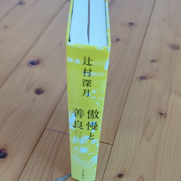 辻村深月 傲慢と善良 カバーなし