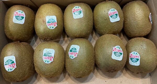 Zespri グリーンキウイ 10個 約1kgまとめ売り