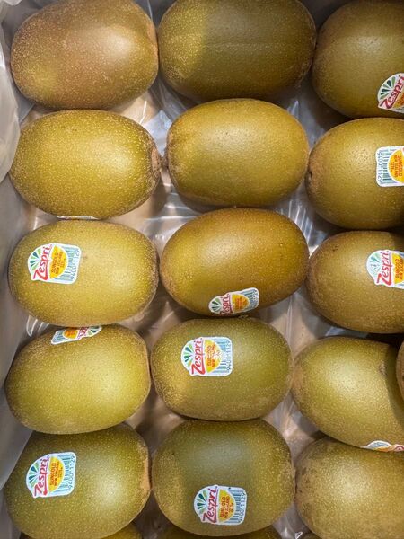 Zespri サンゴールドキウイ 15個まとめ売り