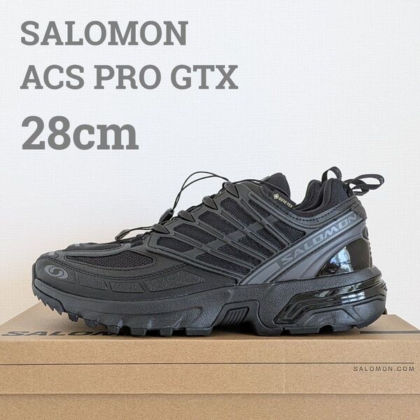 SALOMON ACS PRO GTX 28cm GORE-TEX ゴアテックス サロモン