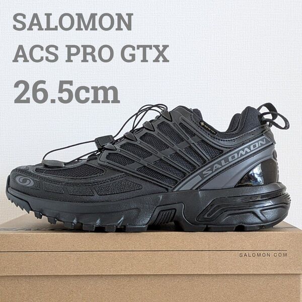 SALOMON ACS PRO GTX 26.5cm GORE-TEX ゴアテックス サロモン