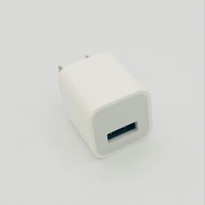 Apple純正ACアダプター iPhone USB充電器