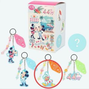 サニーサニーサマーキーチェーン ドナルド