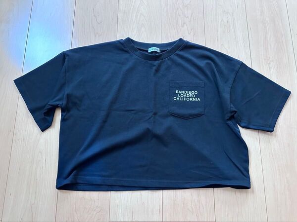INGNI ショート丈 半袖Tシャツ M