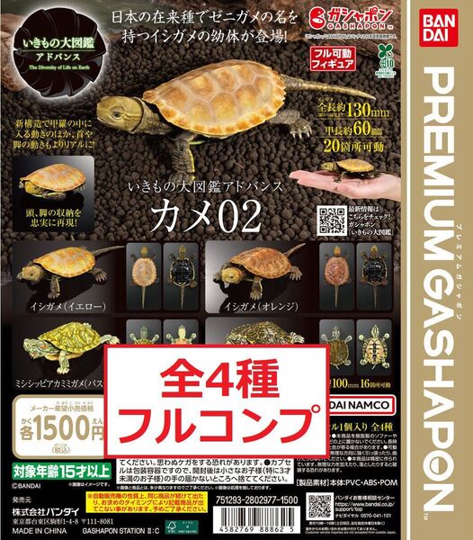 いきもの大図鑑アドバンス カメ02 全4種 イシガメ ミシシッピアカミミガメ 他 ガチャ フィギュア プレミアムガシャポン H