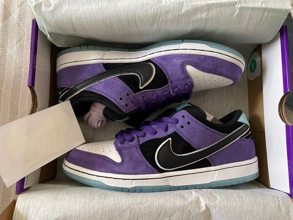 Hayley Wilson Nike SB Dunk Low Pro HJ0513-500 ヘイリーウィルソン 28.5cm