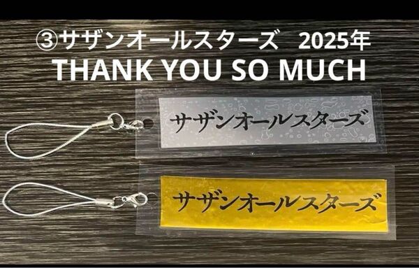 ③サザンオールスターズ LIVE TOUR 2025 銀テープ キーホルダー