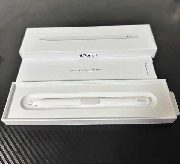Apple Pencil USB-C アップルペンシル新品未使用