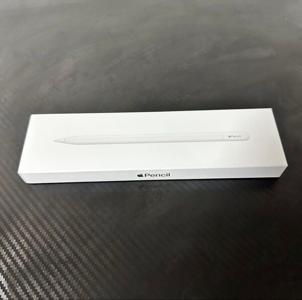 Apple Pencil USB-C アップルペンシル 新品未開封
