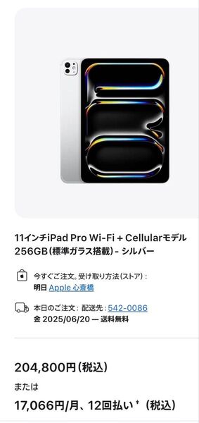 iPad Pro11インチM4 Wi-Fi+cellular シルバー美品 Softbank版