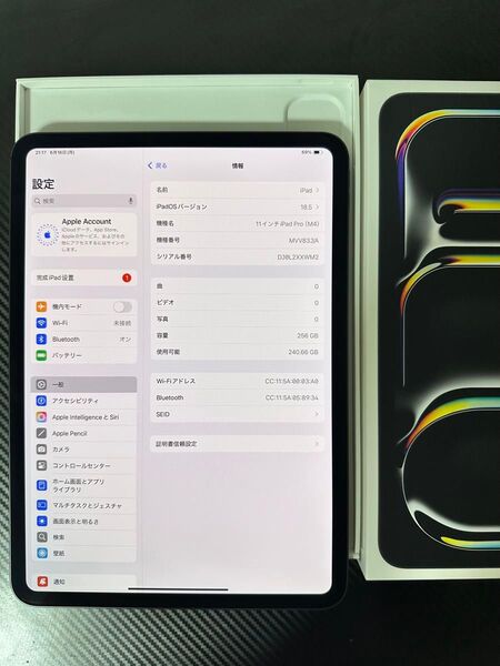 iPad Pro11インチM4 256GB Wi-Fiモデル未使用に近い