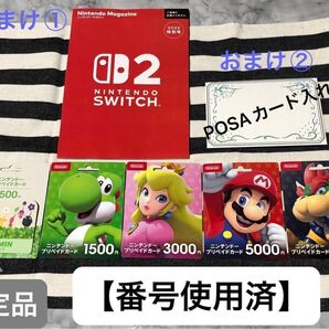 【使用済】 ニンテンドープリペイドカード ピクミン 限定品を含む計5枚 コレクション用 おまけ2点付き