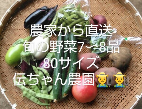 農家から直送 旬の野菜7-8品 農薬不使用栽培 80サイズ箱 伝ちゃん農園