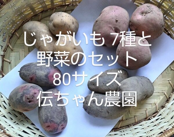 農家から直送 じゃがいも7種類と旬の野菜のセット 農薬不使用栽培 80サイズ 伝ちゃん農園