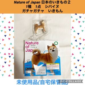 Nature of Japan 日本のいきもの2 1種 1点 シバイヌ ガチャガチャ いきもん フィギュア カプセルトイ