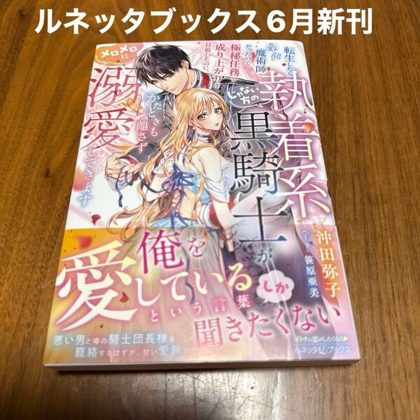 転生したら最弱魔術師だったので極秘任務で成り上がりを目指したのに、じゃない方の執着系黒騎士がかたときも離さずメロメロに…