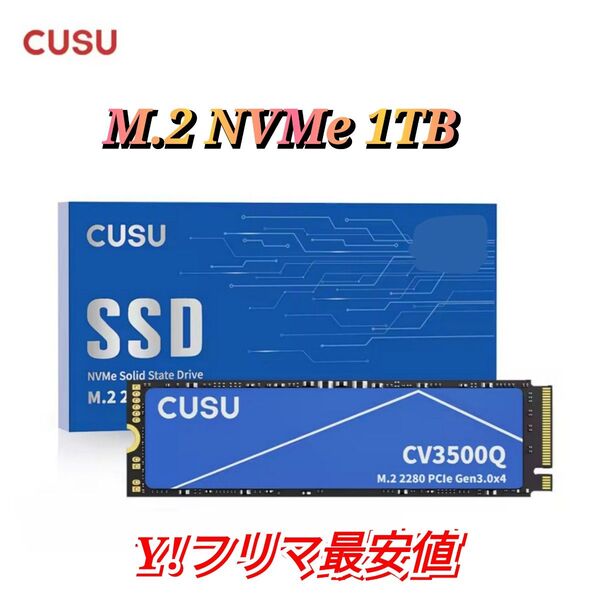 SSD 1TB CUSU CV3500Q M.2 NVMe PCIe3.0 x4 新品未使用