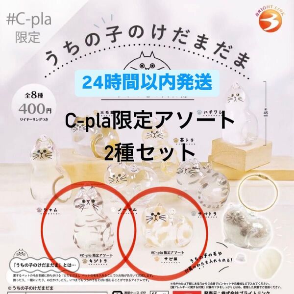 うちの子のけだまだま C-plaアソート2種セット キジトラ サビ猫