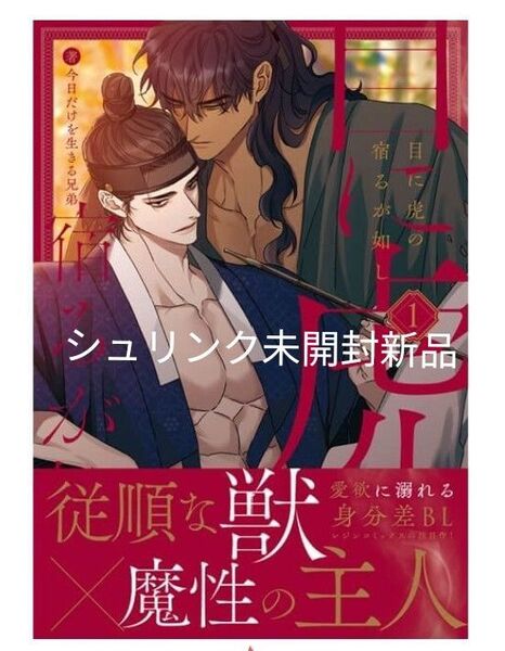 目に虎の宿るが如し 1巻 日本語版 初版 帯付き 【シュリンク未開封新品】 今日だけを生きる兄弟 韓国漫画