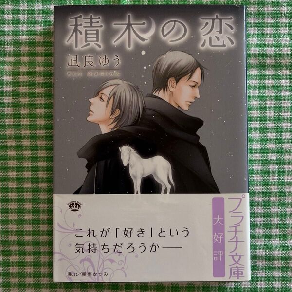 凪良ゆう 『積木の恋』 プラチナ文庫 BL小説
