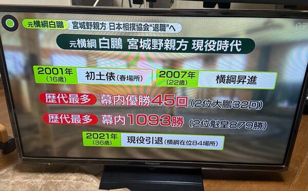 Panasonic パナソニック TH-32F300 32V型 液晶テレビ 2019年製 おまかせ配送