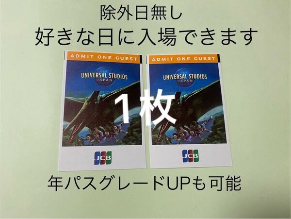 【1枚のみ】USJ 入場券 チケット ユニバーサルスタジオジャパン パートナーパス 除外日無し 未使用 新品
