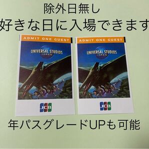 【1枚のお値段】USJ 入場券 チケット ユニバーサルスタジオジャパン パートナーパス 除外日無し 未使用 新品