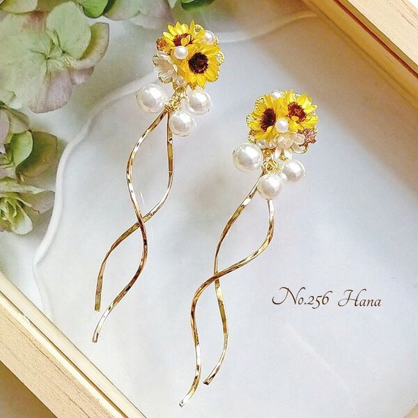 No.256 ひまわりとパールウェーブ 本物のお花のピアス イヤリング 向日葵