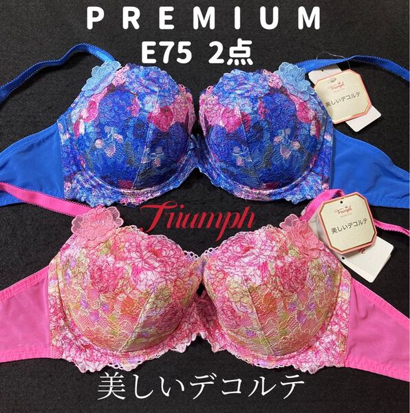 E75 トリンプ プレミアム レッドレーベル 0088 ブラジャー