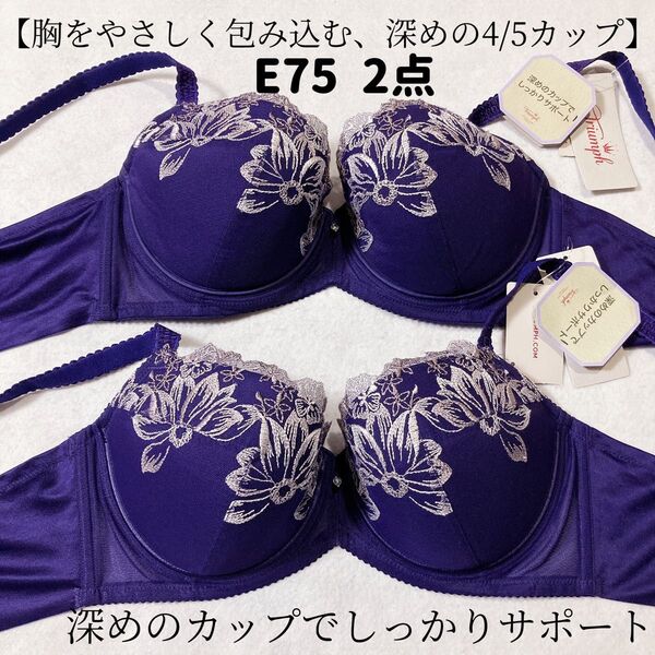 トリンプ ストーリー 538 ブラジャー 2枚 E75