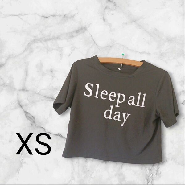 Tシャツ【XS】 クロップド丈Tシャツ グレー ショート丈 半袖Tシャツ 半袖