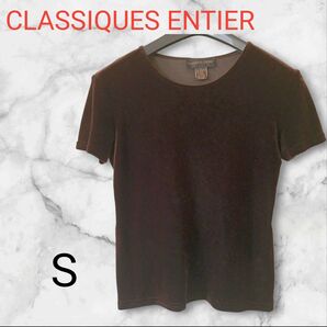 CLASSIQUES ENTIER【S】 ベロアトップス ブラウン M 半袖 半袖Tシャツ Tシャツ