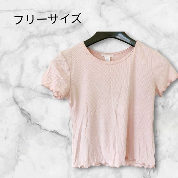 リブTシャツ 【フリーサイズ】ピンク Tシャツ 半袖 半袖Tシャツ トップス カットソー フリル