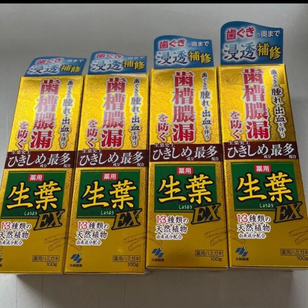 生葉EX 歯磨き粉 歯槽膿漏を防ぐ ひきしめ生葉 4点