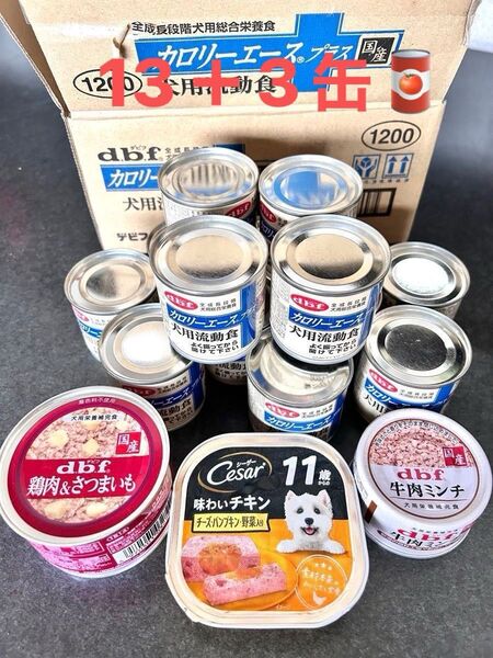 dbf カロリーエース プラス 13缶+3缶 犬用流動食 他3缶