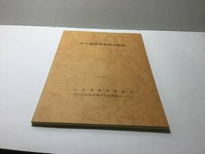 恵下遺跡発掘調査概報　1980年　広島市安佐町　広島県