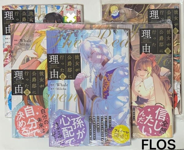 彼女が公爵邸に行った理由 10〜14巻 完結