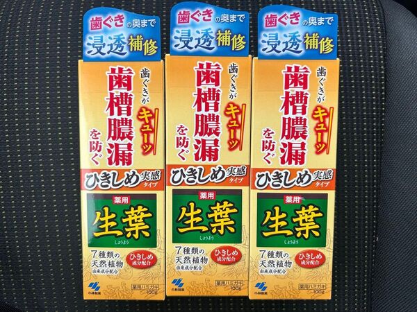 薬用 生葉 歯磨き粉 100g 3本 小林製薬 歯槽膿漏を防ぐ