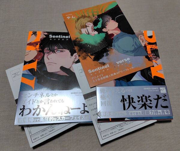 『Sentinel Loverse センチネル ラヴァーズ上下』やん アニメイト4Pリーフレット アンケートハガキ