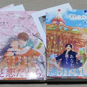 『 カラー・コレクション 』ペーパー・ポストカード『カラーコレクション -PARADE-』ペーパー 芹澤知