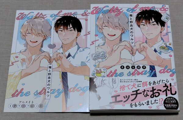 『俺と野良犬のワルツ』アニメイト特典4Pリーフレット付き きはら記子