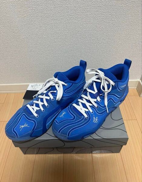 JORDAN テイタム3【インソールなし美品】 ナイキ NIKE