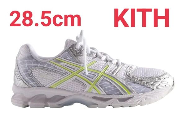 KITH Ronnie Fieg × Asics Gel-Nimbus 10.1 White/Pure Silver 28.5cm